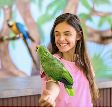 kids interacting with animals at wildlife exhibit in sarasota fl